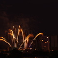 Feu d'artifice 14 Juillet (Rouen)