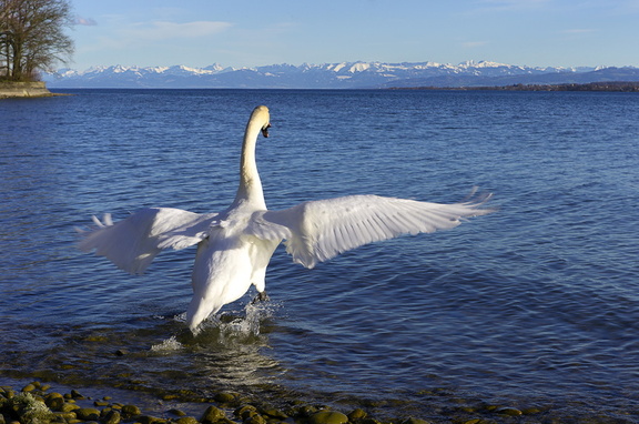 Konstanz