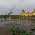 Moritzburg (3)