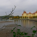 Moritzburg (3).jpg