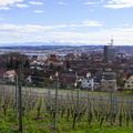 Konstanz (1)