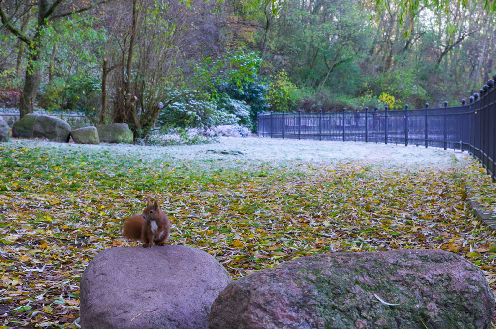 Volkspark Friedrischain (Berlin) (12)