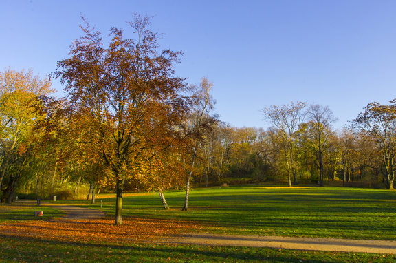 Volkspark Friedrischain (Berlin) (16)