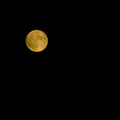 Super Moon 2016 (8)