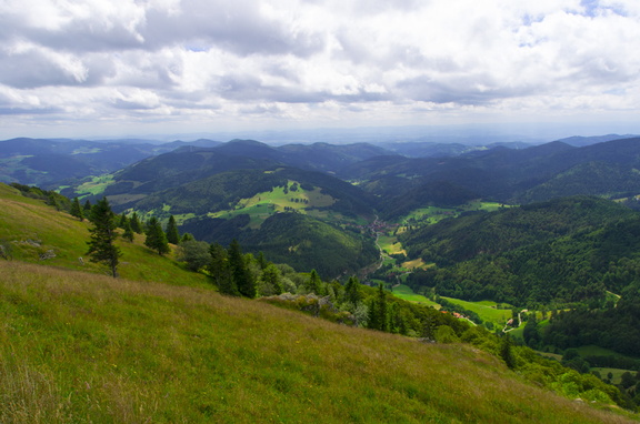 Schwarzwald (Germany) (10)