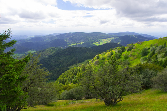 Schwarzwald (Germany) (13)