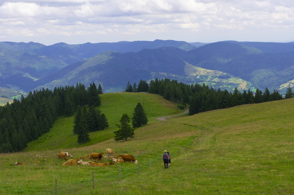 Schwarzwald (Germany) (19)