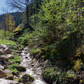 Hornberg (1)