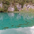 Lacs de Plitvice_1736.jpg