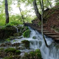 Lacs de Plitvice_1785.jpg