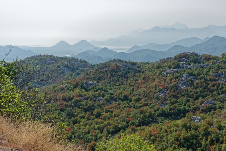 Lac de Shkodra 3488