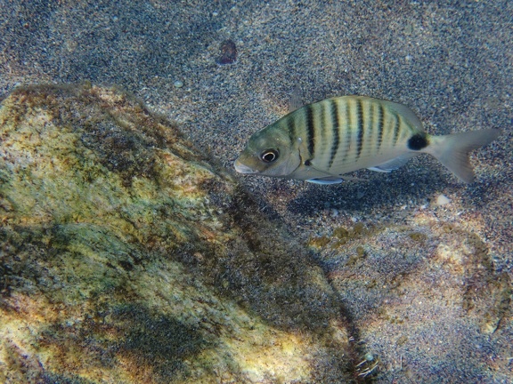 Cabo de Gata 080163