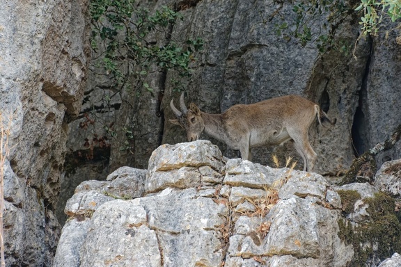 Torcal de Antequera 6273