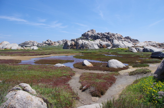 Corsica