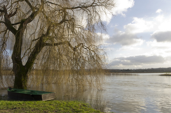 Ardennes