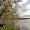 Ardennes