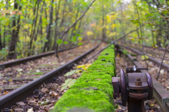 Siemens Bahn (Berlin)