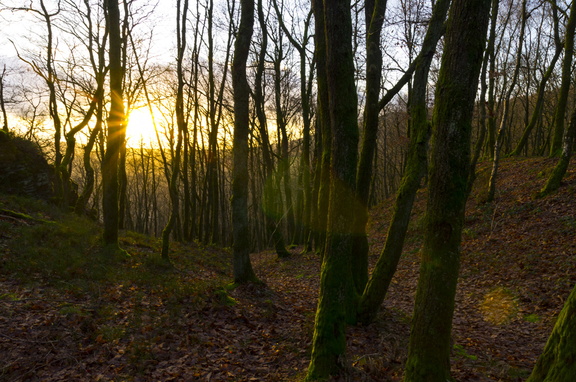 Roche à sept heures (Ardennes)