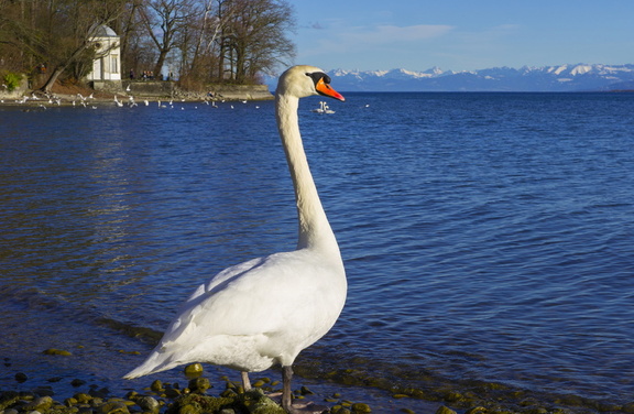 Konstanz (26')