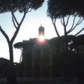 Roma (4)