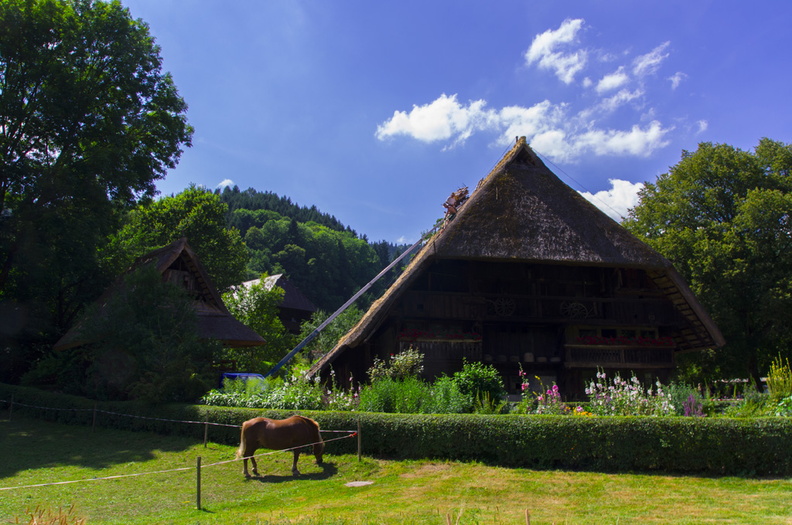 Vogtsbauernhöfe (Gutach - Germany) (24).jpg