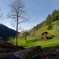 Hornberg (34)