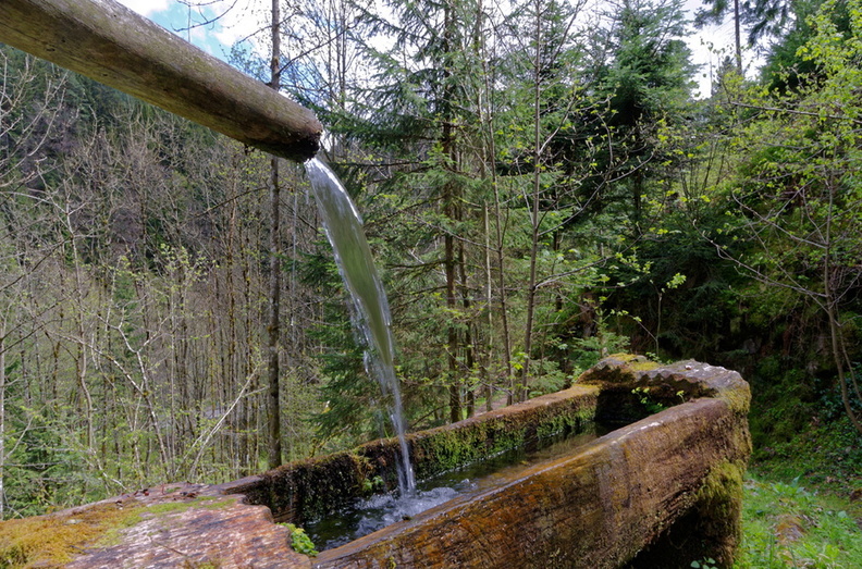 Triberg (3).jpg
