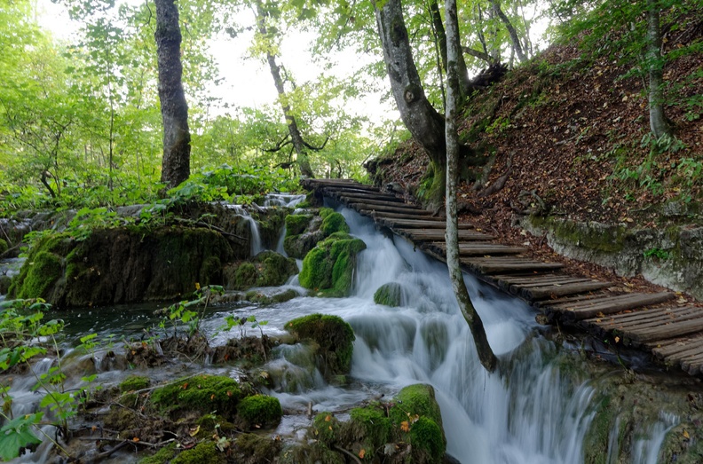 Lacs de Plitvice_1785.jpg