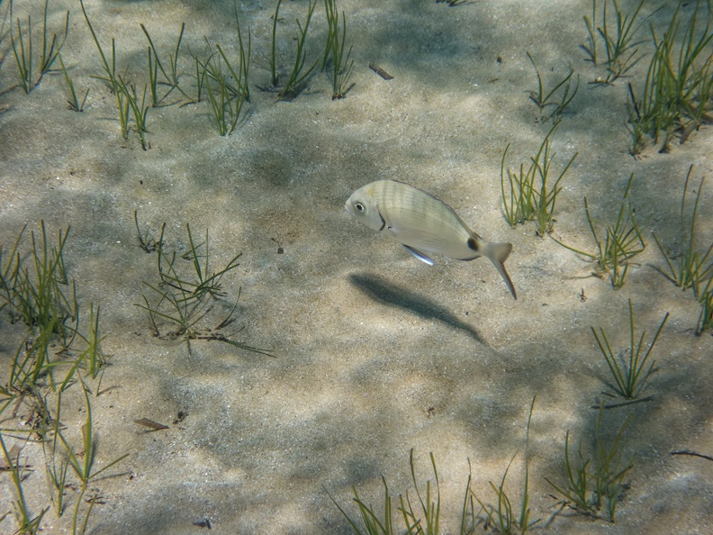Limnionas Beach_170116.jpg