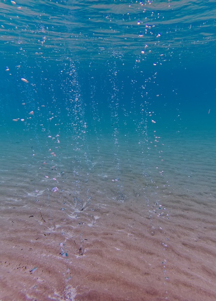 Paradise Beach_160055.jpg