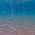 Paradise Beach 160055