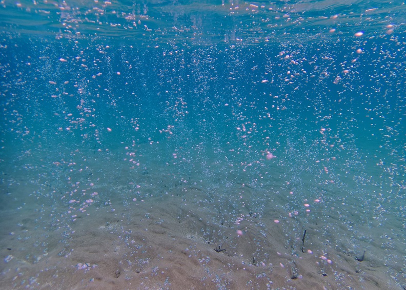 Paradise Beach_160062.jpg