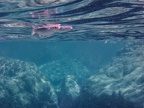 Cabo de Gata 090211