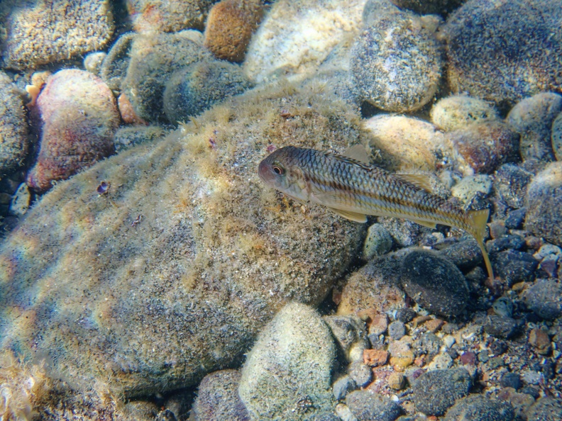 Cabo de Gata_090256.jpg