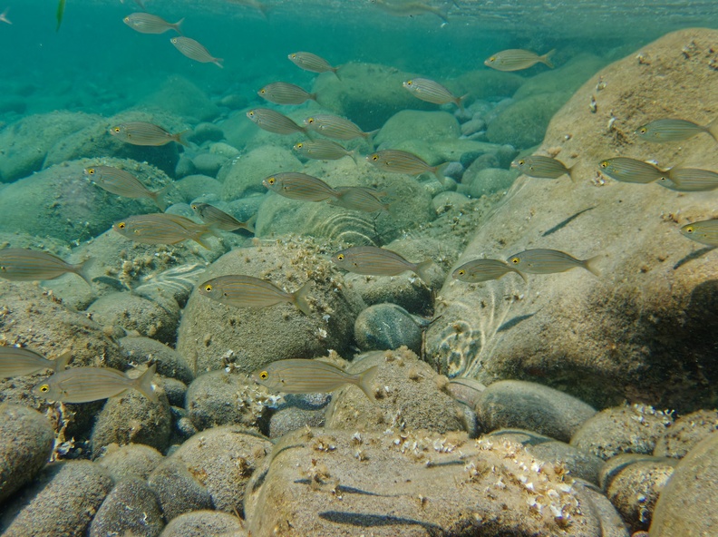 Cabo de Gata_090351.jpg