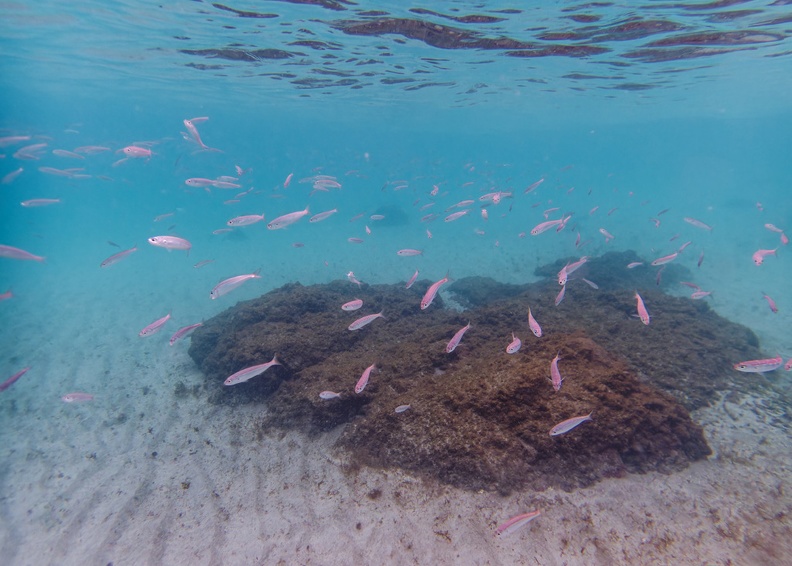 Playa de Maro_130474.jpg