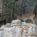 Torcal de Antequera 6273